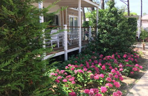 Dune Prestige & Chalets - Foto 28