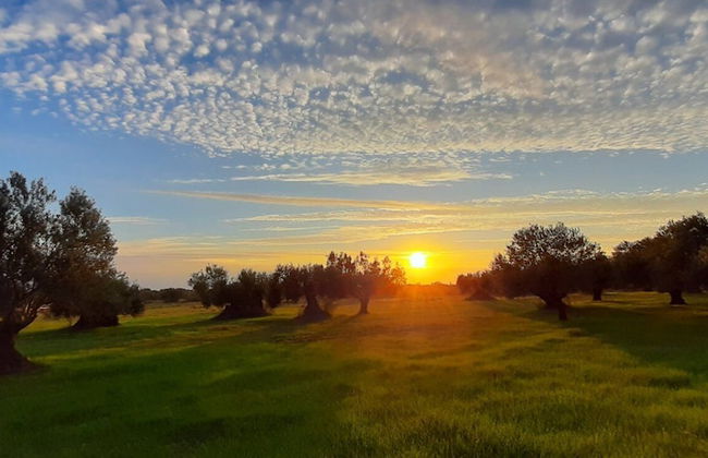 Villa Elaionas 1 - Foto 36