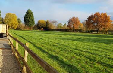 The Lodge - Photo 14