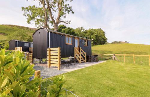 Defaid Cymreig - Foto 26