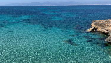 PALMA BAY FRONT LINE - Foto 5