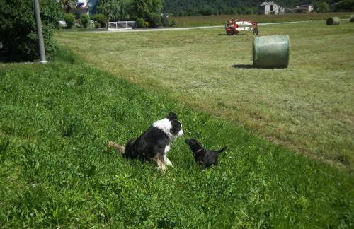 Agriturismo Al Palaz - Foto 28