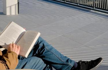 Raposa Verde - Agroturismo - Foto 38