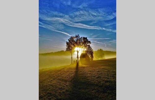 Dom Janosik - Foto 24