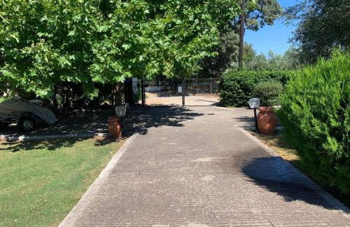 LOGA PARALIA DIKELLA EVROs - Foto 8