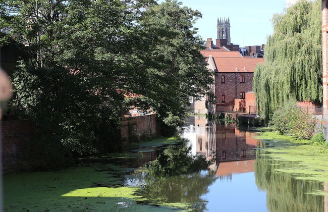 Chocolets - The Foss Suite - Photo 34