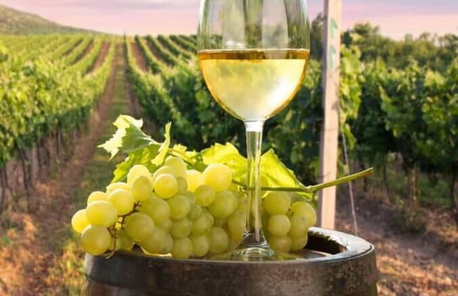 Eltham Retreat - Photo 56