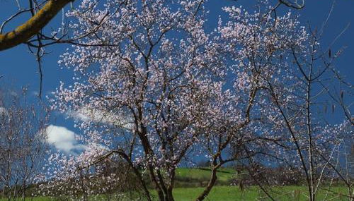 La Ca' Tòrta - Rustico ristrutturato - Foto 2