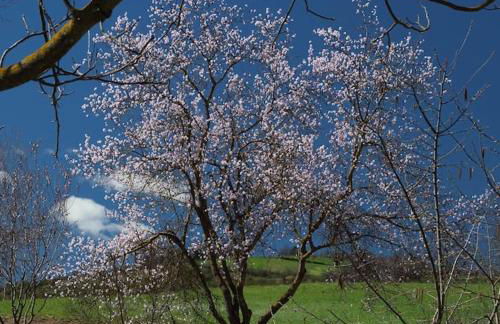La Ca' Tòrta - Rustico ristrutturato - Photo 2