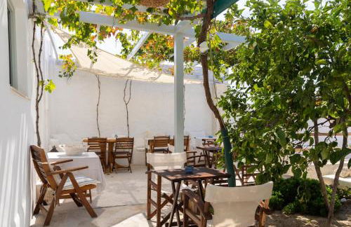 Monachofolitses - Photo 14