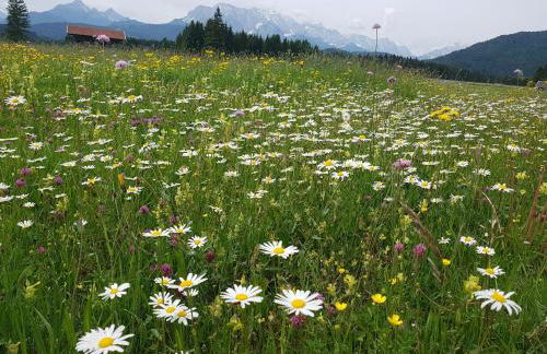 Ferienwohnung Soiernblick Krün Bärnbichl - Foto 12