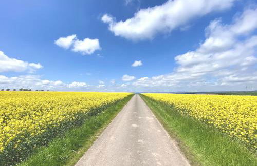 Alraftsblick - Foto 18