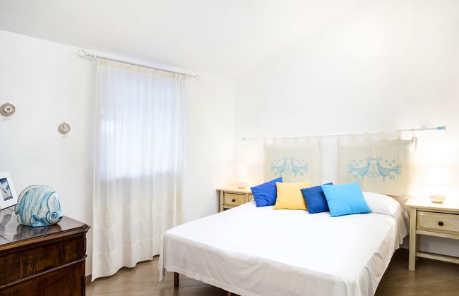 Bougainvillae Bilo - Foto 11