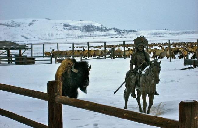 NEW! Elk Refuge Safari Chalet with Teton Views! - Foto 29