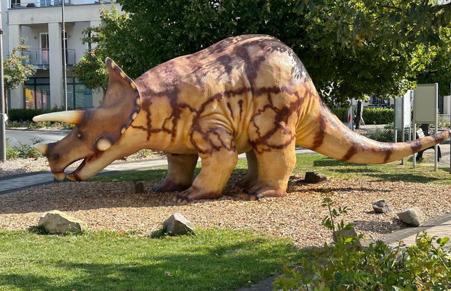 Olsdorf Forestview Apartment - Photo 32