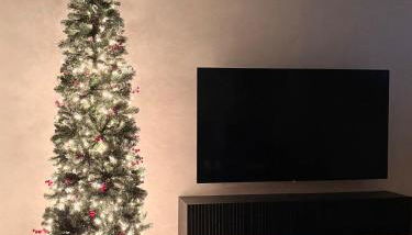 Huge Private Suite with Pool Table, Sauna & Fire Pit - Foto 4