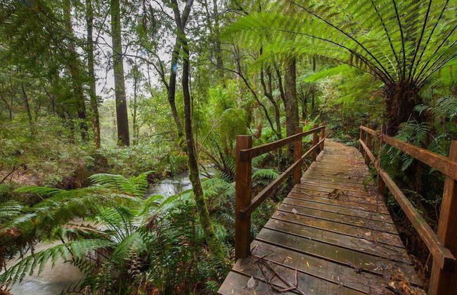 The Source Otways - Foto 25