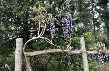 Tranquil home at Westerlands Farm, Sleeps 7, The South Downs - Foto 67