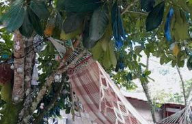 Marujada Experience Corisco Paraty - Foto 22