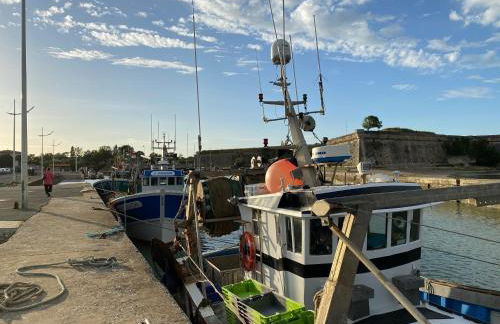 Les Amareyeurs - Ile d'Oléron - Maison classée 3 étoiles avec piscine - Clim - Vélos - Foto 11