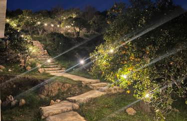 Finca Martina - Foto 35