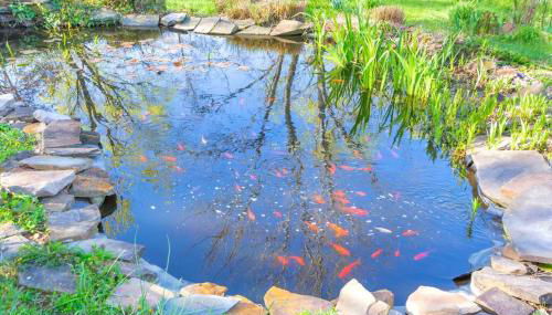 Huge Farmhouse with Heated Pool for Vacations and Retreats - Foto 4