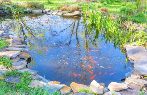 Huge Farmhouse with Heated Pool for Vacations and Retreats - Foto 4