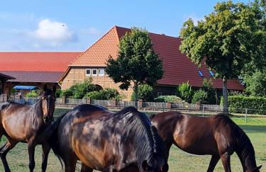 Mutti 's Landhof - Foto 31