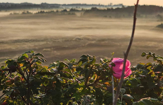 Beachfront Bungalow Bliss - By Traum Ferienwohnungen - Foto 16