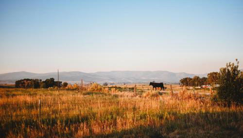 Mountain-View Log Cabin in Wyoming Wilderness - Foto 3