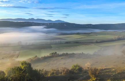 Berrobiaenea naturaleza y armonia - Photo 9