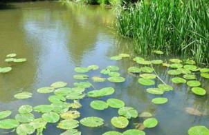 Cocon cosy et déconnecté 30min Puy du Fou - 2 chambres et 1 canapé lit - Foto 6