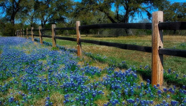 Texas Hill Country Tour - Foto 4