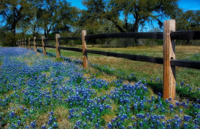 Texas Hill Country Tour - Foto 4