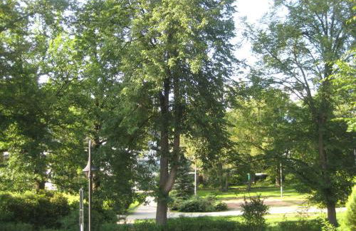 Ferienwohnung Elsterveilchen 100 m bis zur Soletherme und Theater - Foto 21