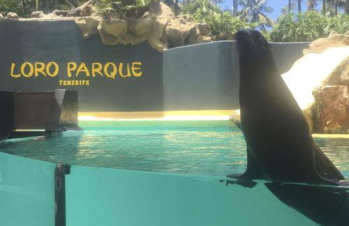 Grande appartamento Tenerife Los Abrigos - Foto 48