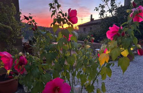 Charming Tuscan Suite with Pool 2 to 5 persons Lamole Greve in Chianti - Foto 15