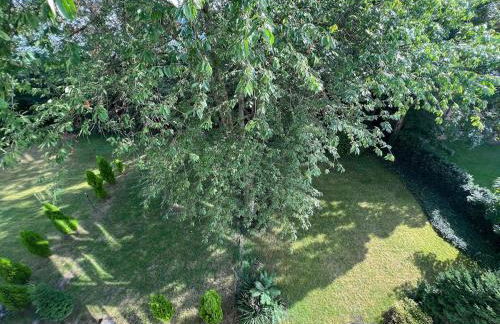 Wohnung mit Balkon am Rhein - Foto 16