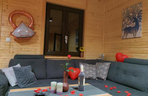 Domki całoroczne DŁUGOSZÓWKA pod Rzeszowem, Jacuzzi-Sauna-Basen-Alpaki - Foto 74