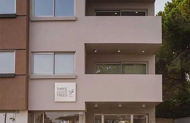 3 Olive Trees - Foto 71