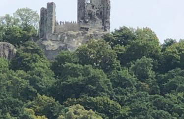 Bella Casa am Rhein - Foto 12