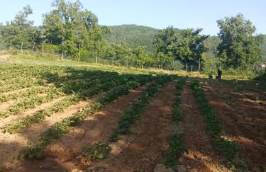 Torre del Drago - Foto 47