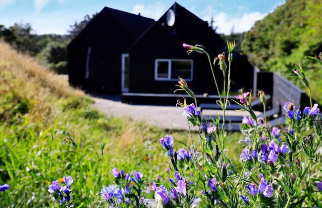 Holiday Home in Blokhus - Foto 38