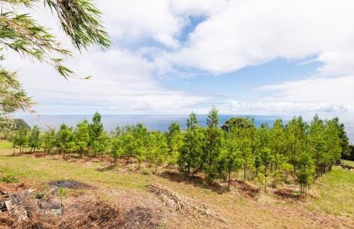 Casa da Vigia - Photo 17