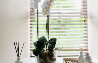 Sunny Luxurious 2 bedroom Holiday cottage - Foto 16