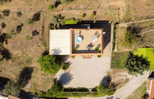 Albero di Giada - Foto 40