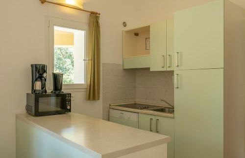 Résidence Odalys San Martinu - Foto 31