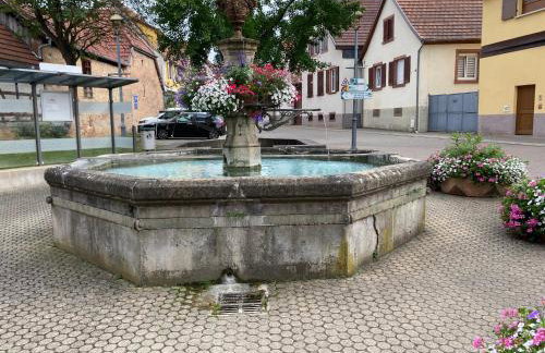 Gîte au Pied du Bischenberg - Foto 32