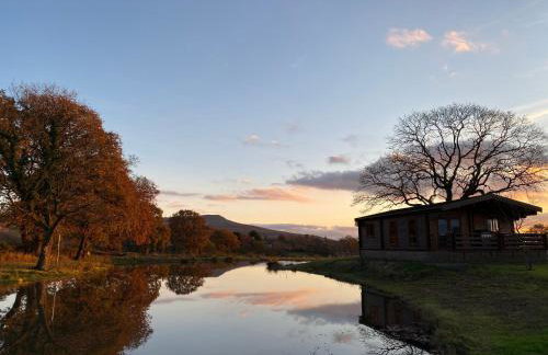 RedWood Lodge - Photo 6