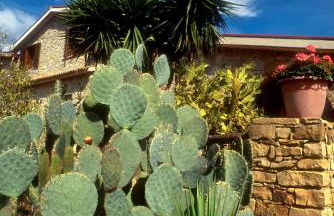 Agriturismo Villa Dafne - Foto 36